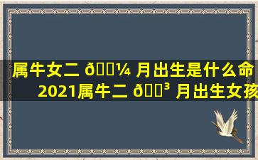 属牛女二 🐼 月出生是什么命（2021属牛二 🌳 月出生女孩命运好不好）